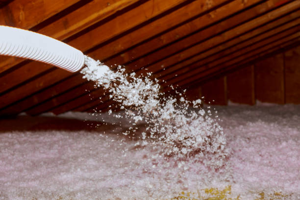 Best Cellulose Insulation in Lenwood, CA