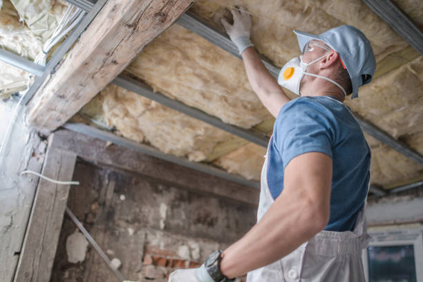Types of Insulation We Offer in Lenwood, CA