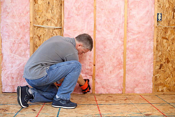 Best Fiberglass Insulation in Lenwood, CA