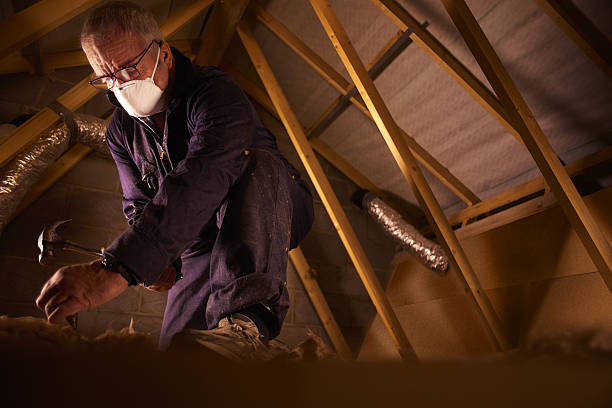Best DIY Insulation Kits and Guidance in Lenwood, CA